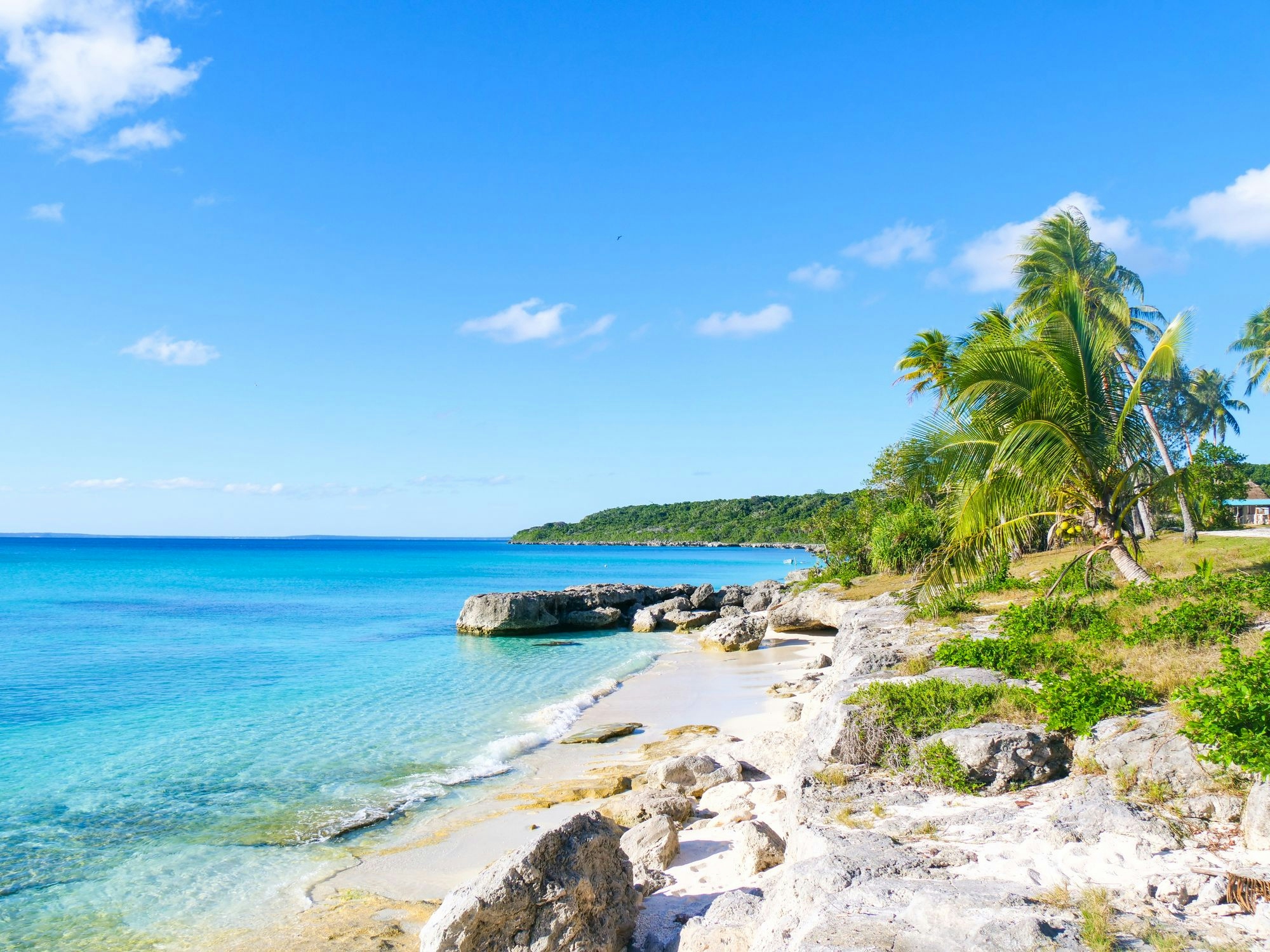 Une plage paradisiaque bordée de roches calcaires et de cocotier