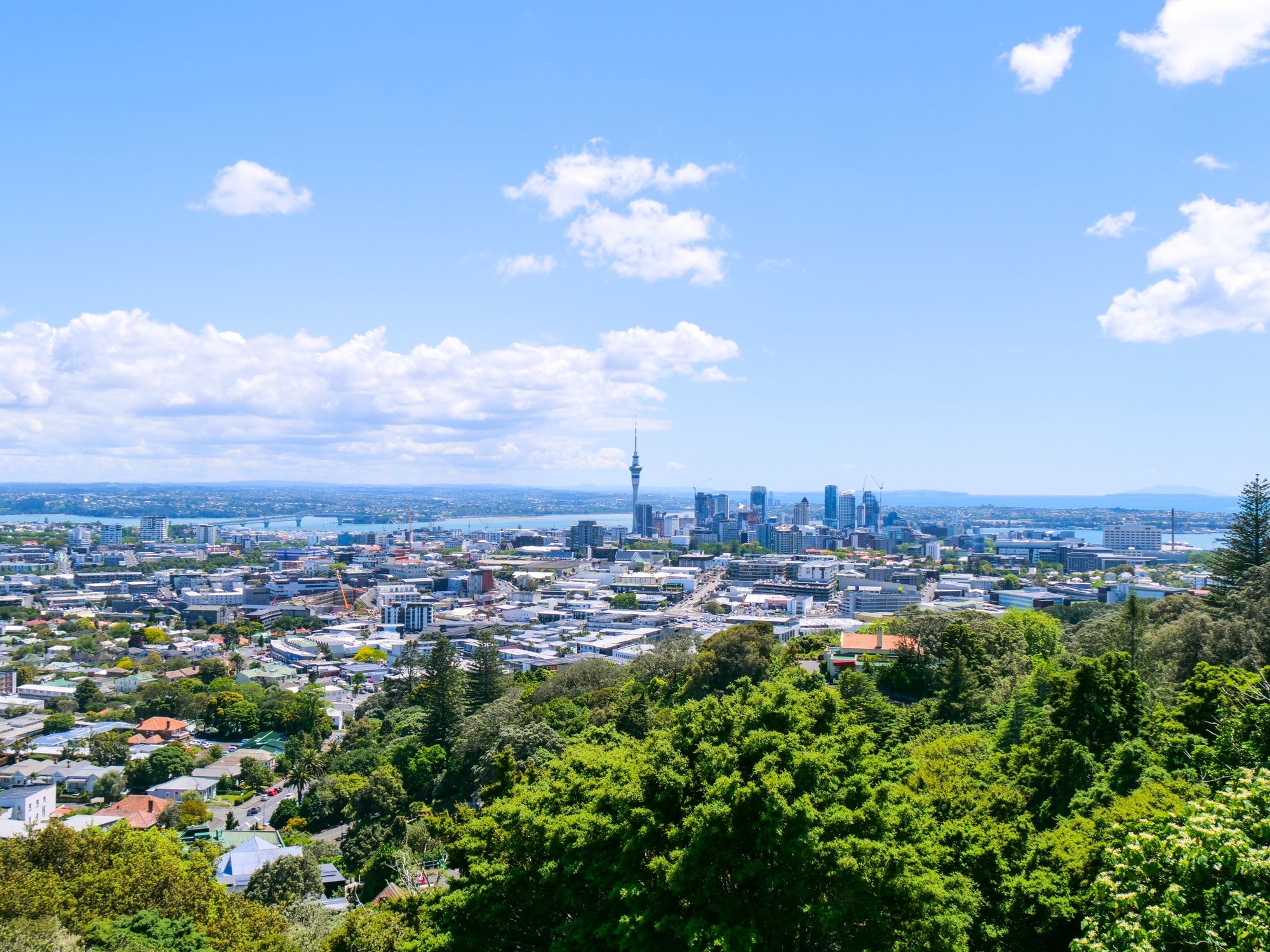 La vue d'Auckland depuis le Mount Eden