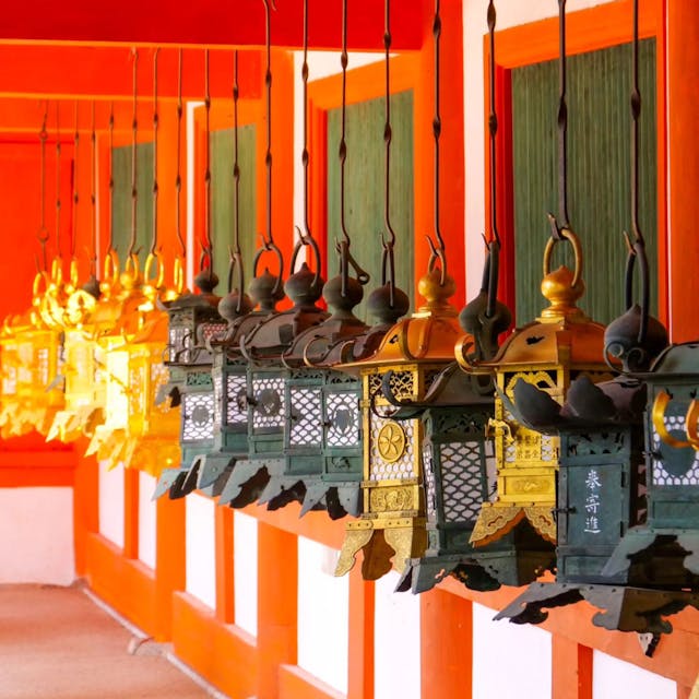 AFTER TDM, DAY 212 🇯🇵

Nara, ou l'une de mes villes favorites du Japon. Elle est reconnue pour son patrimoine historique exceptionnel, mais aussi pour ses nombreux cerfs qui se baladent en liberté 🦌

Ici, on est au temple Kasuga-taisha, inscrit au patrimoine mondial de l'UNESCO. Ce sont surtout ses milles lanternes de bronze et d'or qui en font sa renommée 🏮 c'est vraiment très joli à voir !

J'avais déjà visité ce temple lors de mon premier voyage au Japon mais j'étais très contente d'y retourner. Et comme on dit... Jamais 2 sans 3, donc j'y reviendrai une troisième fois c'est sûr 😁

Belle soirée les voyageurs 🥰

📍 Nara - Japon

#nara #japon #japan #pacifique #visitjapan #temple #tdm #tourdumonde #worldtour #voyage #travel #travelgram #traveltheworld #globetrotter #lolitaexplore #lolitaontheroad